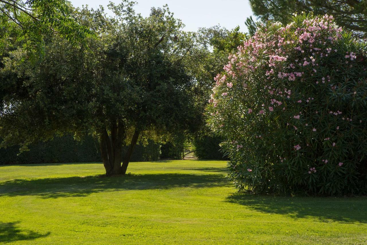 Villa Aia Vecchia Bibbona Exterior photo